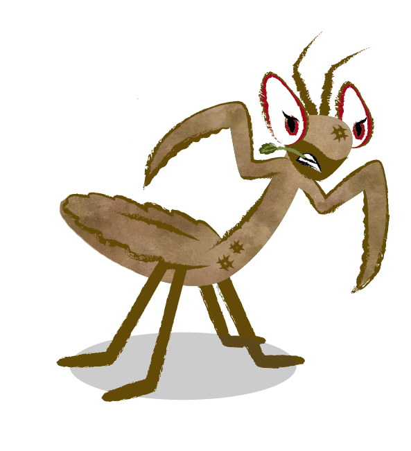 buggy